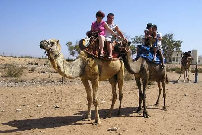 Agadir Camel Riding +Sunset and Dinner( barbecue) - The sunset is a bonus, not a promise