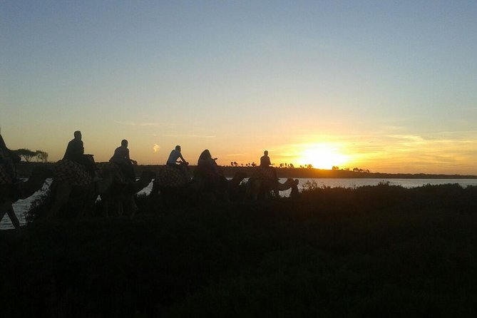 Agadir Camel Riding +Sunset and Dinner( barbecue) - Who should book this Agadir camel experience?