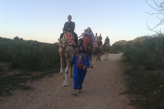 Agadir Camel Riding +Sunset and Dinner( barbecue) - Through the eucalyptus forest and toward the river