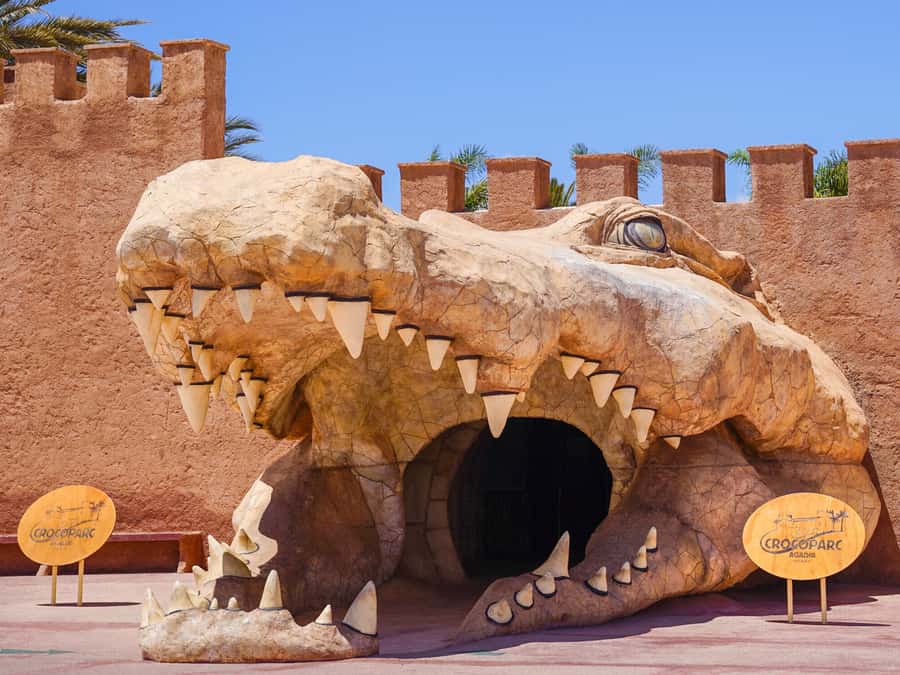 Agadir: Crocoparc Entry Ticket with Transfers, Guide, & Tea - Key points at a glance