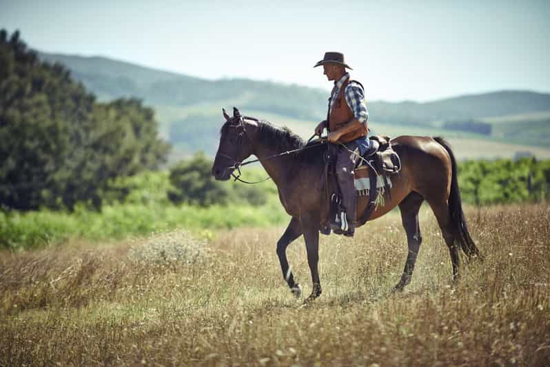 Agadir: Forest and Sand Dunes Guided Horse Riding - Key points to know before booking