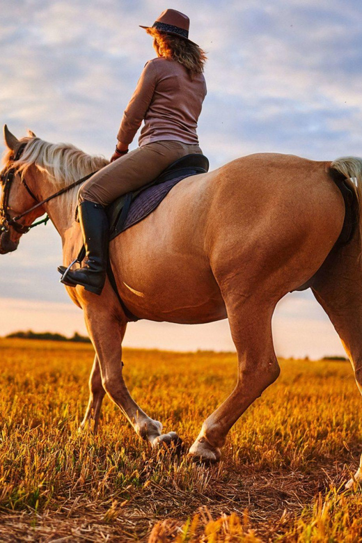 Agadir: Forest and Sand Dunes Guided Horse Riding - A realistic look at timing and route