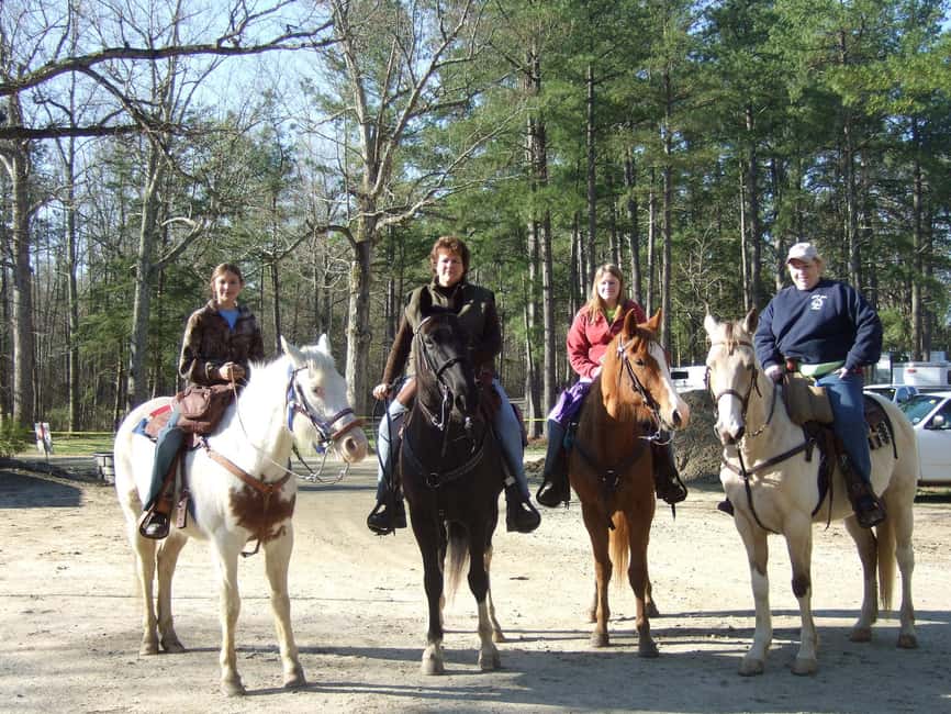 Agadir: Forest and Sand Dunes Guided Horse Riding - What experienced riders can get from it