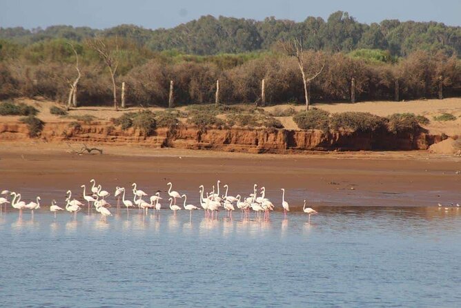 Agadir Jeep Safari Sahara Desert 4x4 Day Tour with Lunch - Why this Agadir day trip works