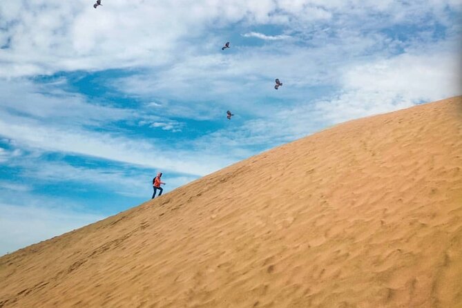 Agadir Jeep Safari Sahara Desert 4x4 Day Tour with Lunch - A long stop in Rasmouka for Berber food and culture