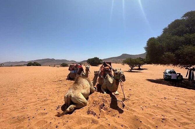 Agadir Jeep Safari Sahara Desert 4x4 Day Tour with Lunch - Ending above the Youssef Ben Tachfine Dam