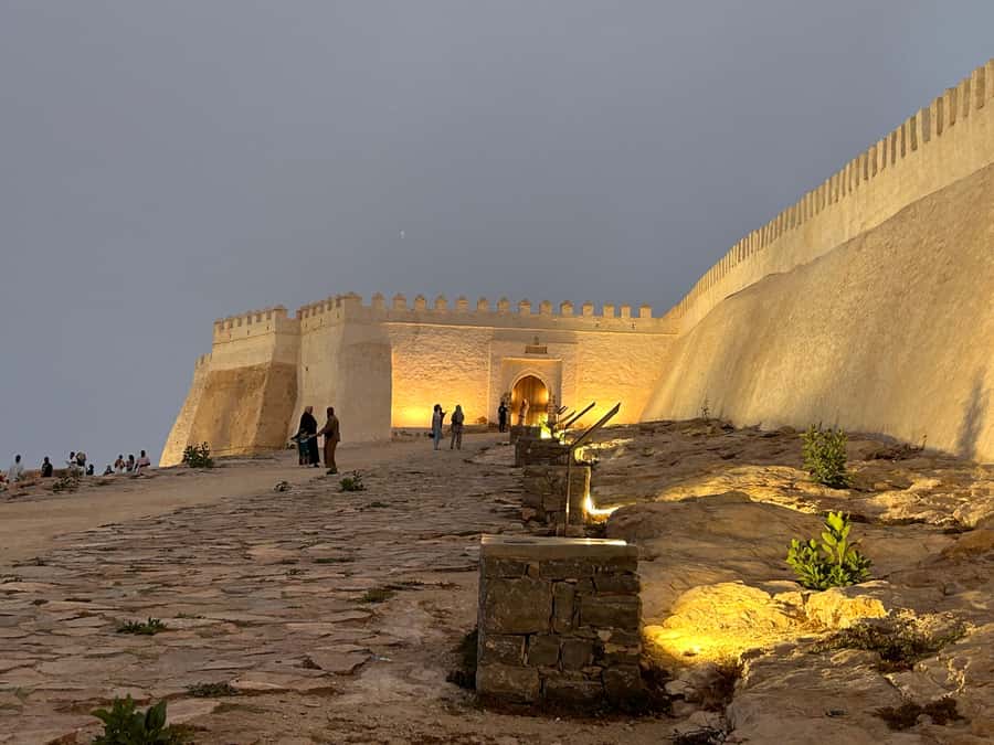 Agadir: Kasbah, Souk, and Marina City Tour with Hotel Pickup - Marina, fish market, and other changing details