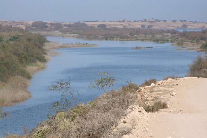 Agadir or taghazout : 4×4 Jeep Sahara Desert Trip with Lunch - Guides, group size, and the amount of driving