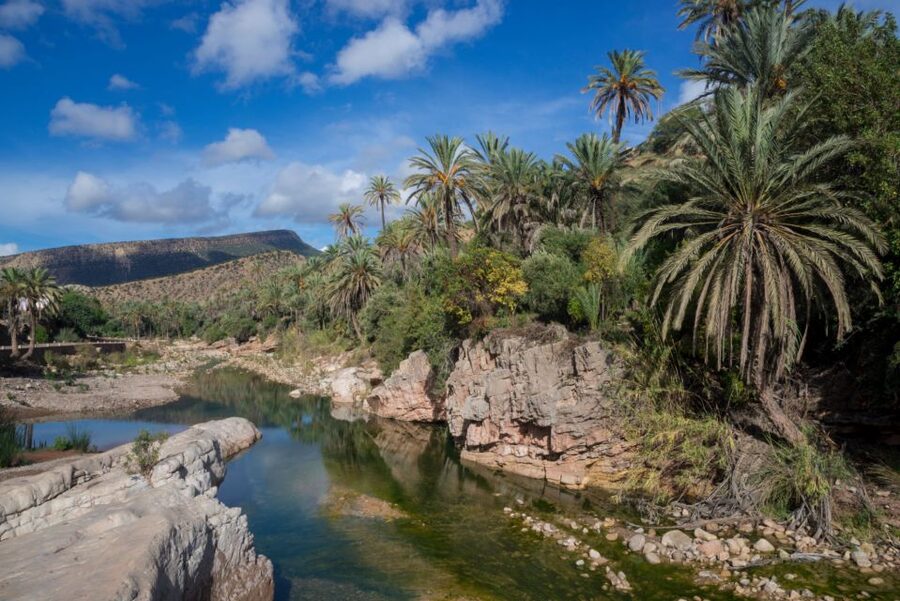 Agadir or Taghazout: Paradise Valley Atlas Mountains Tour - Should you book the Paradise Valley tour?
