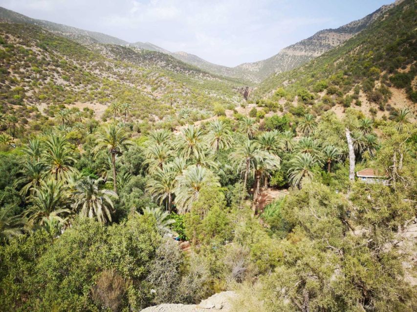 Agadir or Taghazout: Paradise Valley Atlas Mountains Tour - Swimming, drinks, and the rock jumps