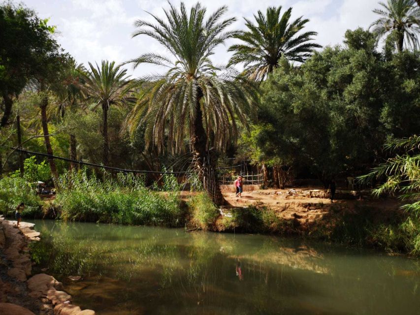 Agadir or Taghazout: Paradise Valley Atlas Mountains Tour - Lunch, timing, and the $21 price