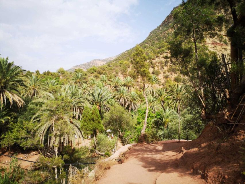 Agadir or Taghazout: Paradise Valley Atlas Mountains Tour - Who will enjoy this outing most