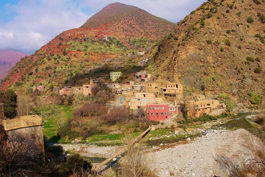 Agadir or Taghazout: Paradise Valley & Atlas Mountains Trip - From Agadir to the Honey Road