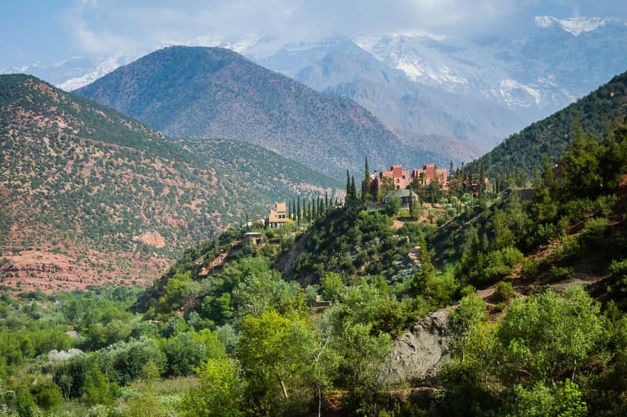 Agadir or Taghazout: Paradise Valley & Atlas Mountains Trip - What the Botanical Garden Stop Adds