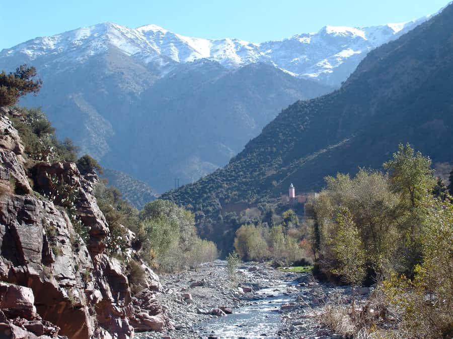 Agadir or Taghazout: Paradise Valley & Atlas Mountains Trip - Who Should Book This Experience?