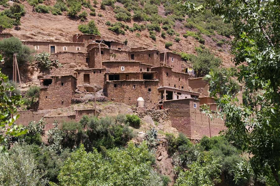 Agadir or Taghazout: Paradise Valley & Atlas Mountains Trip - Should You Book the Paradise Valley Trip?
