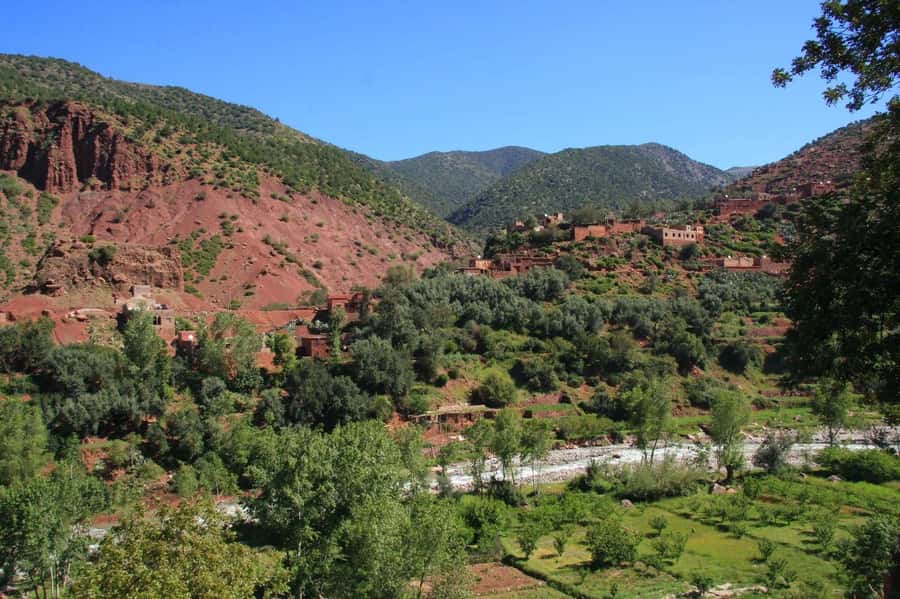 Agadir or Taghazout: Paradise Valley & Atlas Mountains Trip - The Walk Into Paradise Valley