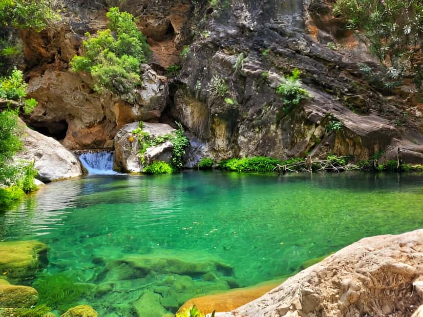 Agadir or Taghazout: Paradise Valley with Lunch & Transfers - The journey through the Honey Road of Immouzar