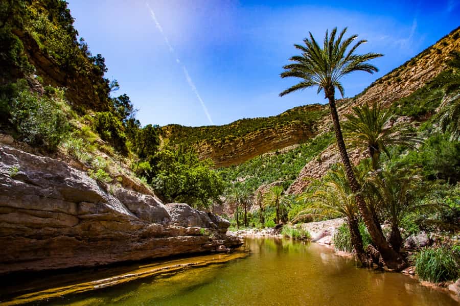 Agadir: Paradise Valley & Desert Sand Dunes with Camel Ride - The sunset camel ride