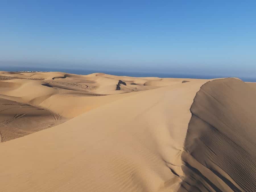 Agadir: Paradise Valley & Desert Sand Dunes with Camel Ride - Guides, vehicles, and the rhythm of the day