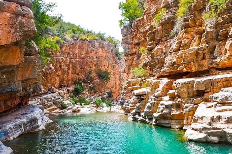 Agadir: Paradise Valley & Desert Sand Dunes with Camel Ride - Alma’s garden and the argan oil stop