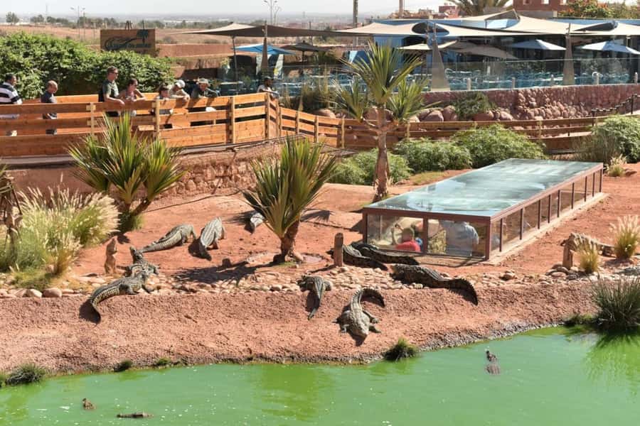Agadir: Quad Safari with Crocoparc Optional - Choosing the order of the day