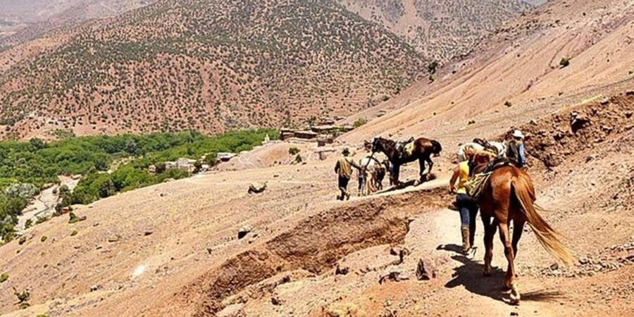 Agadir: Quad Safari with Crocoparc Optional - How the guides handle beginners and families