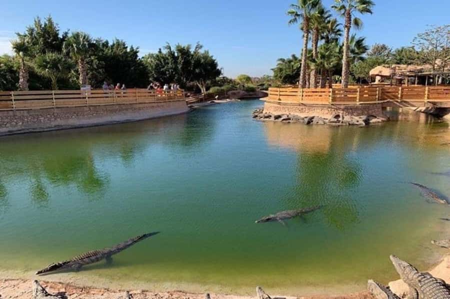 Agadir: Quad Safari with Crocoparc Optional - Is the $29 price good value?