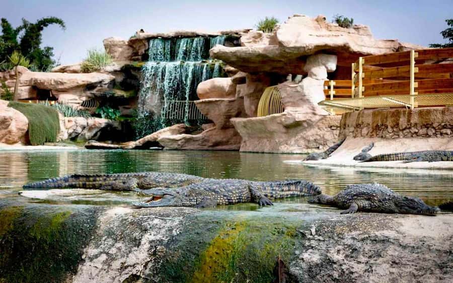 Agadir: Quad Safari with Crocoparc Optional - Hotel pickup and the short ride from Agadir