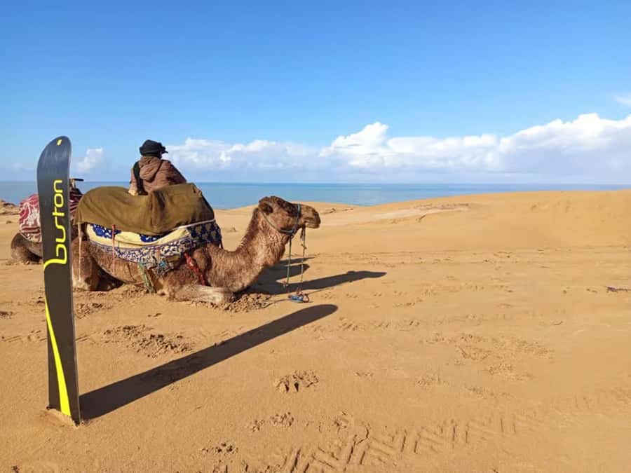 Agadir Sinec Canyon Desert Tour + Optional Sandboarding - The important activity mismatch