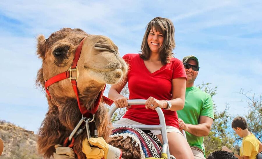 Agadir/Taghazout: Camel Rides with Tea Drink and Transfers - The two-hour route to the river and coast