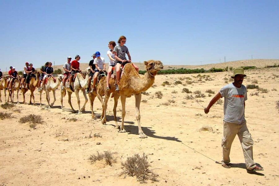 Agadir/Taghazout: Camel Rides with Tea Drink and Transfers - Guides, photos, and the human side of the outing