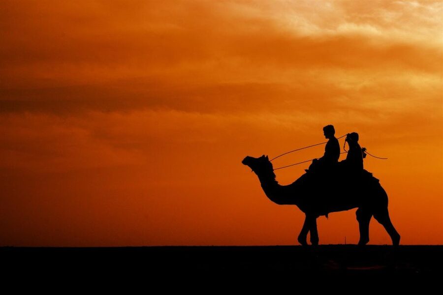 Agadir/Taghazout: Camel Rides with Tea Drink and Transfers - Mint tea, biscuits, and the finish at the ranch