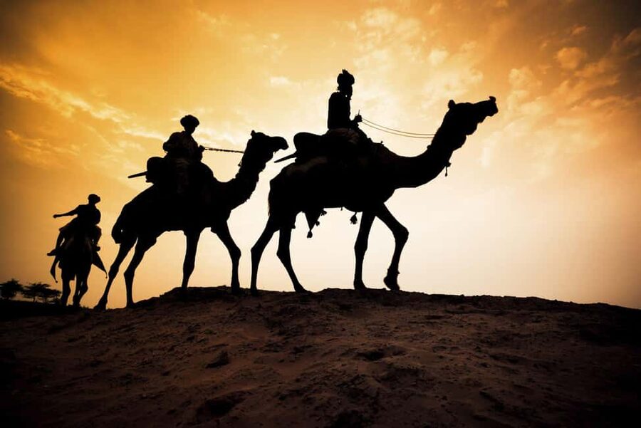 Agadir/Taghazout: Camel Rides with Tea Drink and Transfers - Is $22 good value?