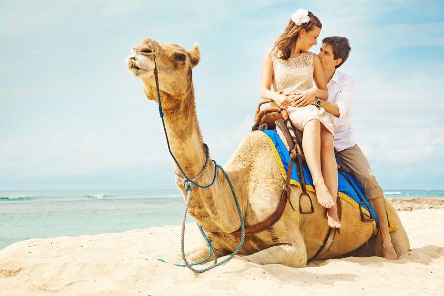 Agadir/Taghazout: Camel Rides with Tea Drink and Transfers - What to wear and bring
