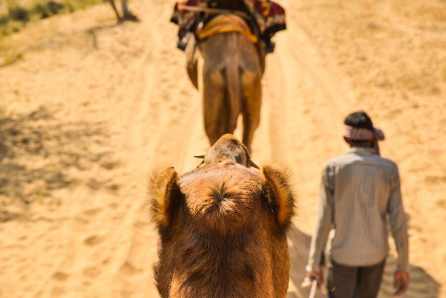 Agadir/Taghazout: Camel Rides with Tea Drink and Transfers - Who should book this camel ride?