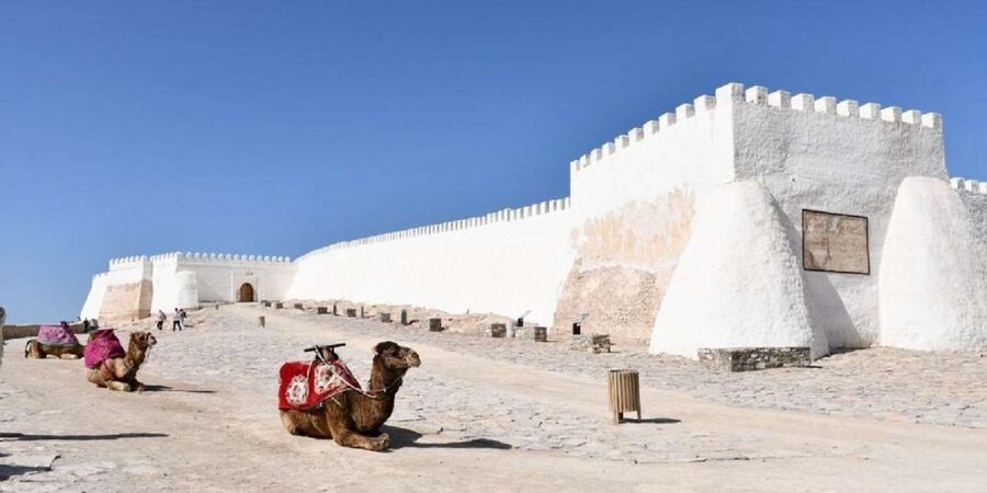Agadir/Taghazout: Old Medina of Coco Polizzi and Agadir Tour - Argan oil: useful context and a shopping warning