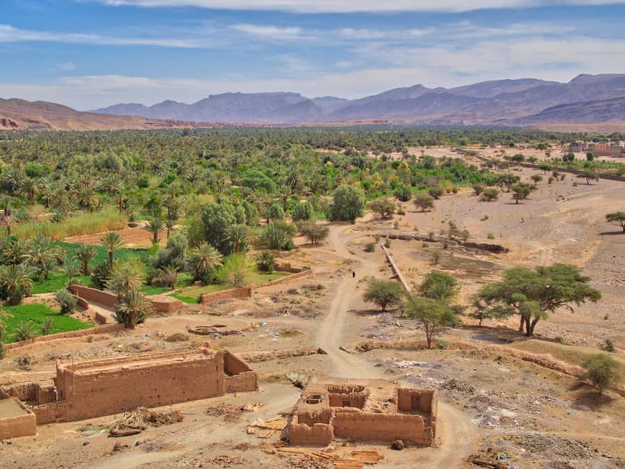 Agadir/Taghazout/Port: Paradise Valley Atlas Mountains Trip - What free time in Paradise Valley is really like