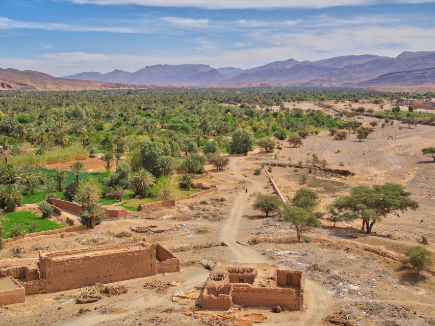 Agadir/Taghazout/Port: Paradise Valley Atlas Mountains Trip - Botanic garden and argan cooperative stops