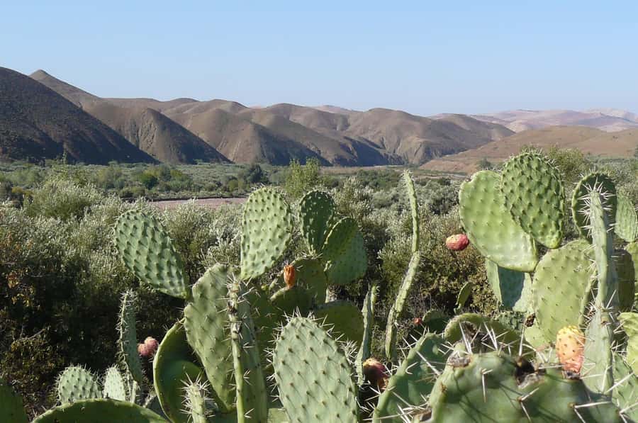 Agadir/Taghazout/Port: Paradise Valley Atlas Mountains Trip - Is $21 good value?