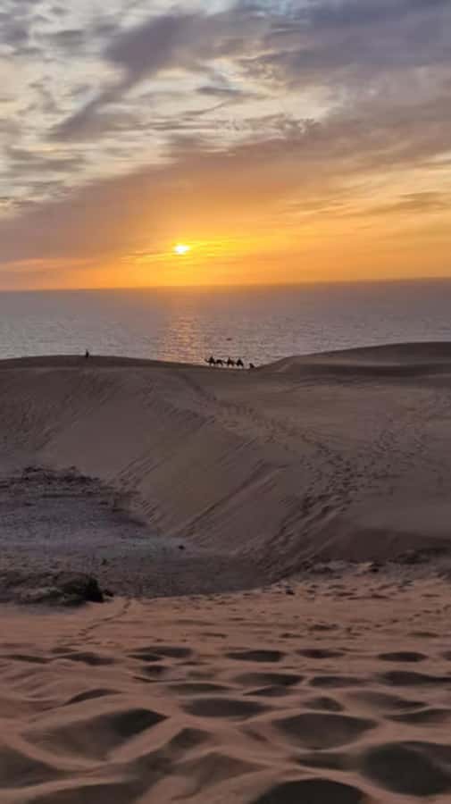 Agadir/Taghazout : Quad Bike & Camel Ride On The Beach - Why the guides matter
