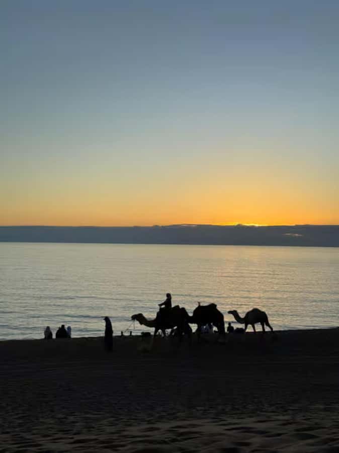 Agadir/Taghazout : Quad Bike & Camel Ride On The Beach - What the $68 price gets you