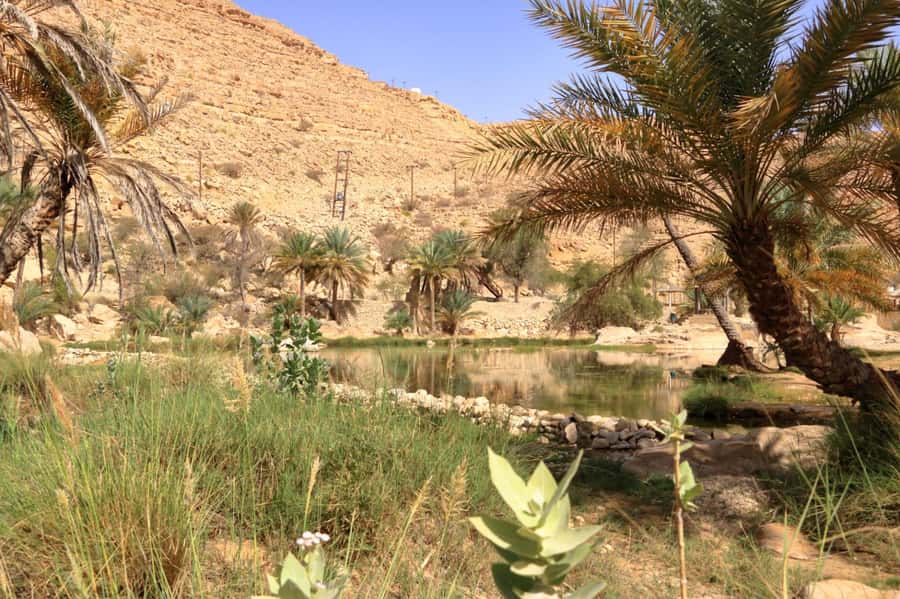 Agadir/Taghazout/Tamraght: Paradise Valley Best Tour - Who should book, and who should think twice