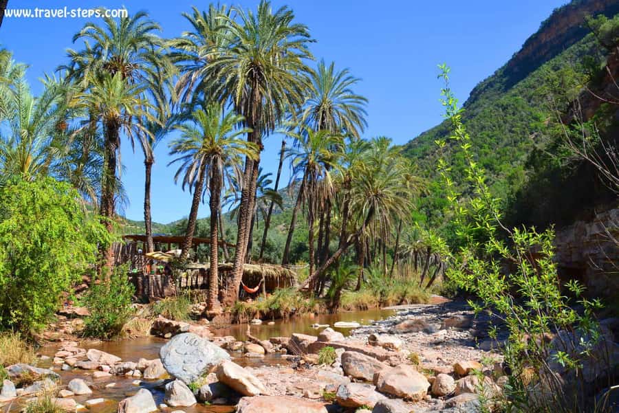 Agadir/Taghazout/Tamraght: Paradise Valley Best Tour - A possible botanical garden stop
