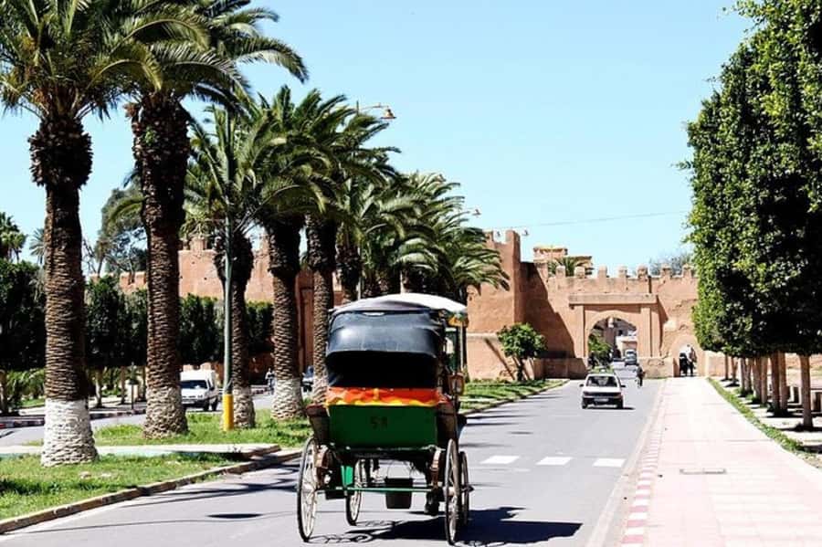 Agadir: Taroudant Oasis and Tiout Day Trip with Lunch Option - Small practical tips for a better day