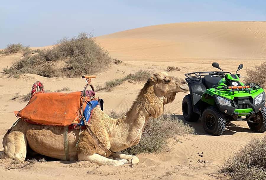 Agadir to Tifnit Desert: Quad Biking Tour with Sandboarding - Sandboarding on the soft dunes