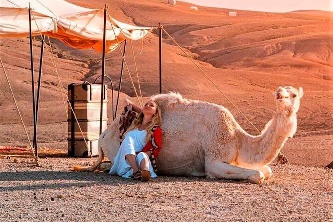 Agafay Desert: Dinner + Show with Quad Bike & Sunset Camel Ride - From Marrakech to the Agafay Desert around 3 pm