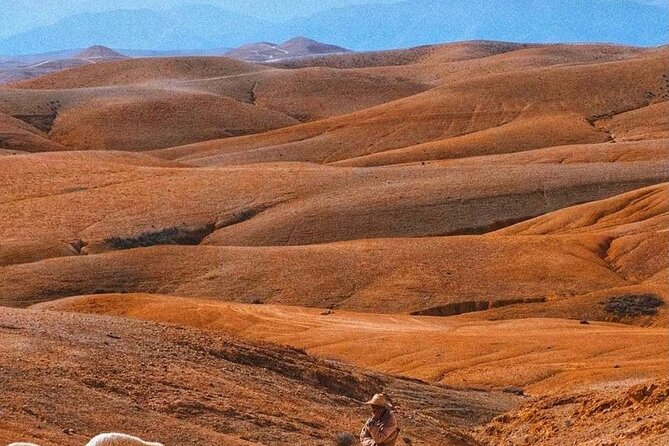 Agafay Desert: Dinner + Show with Quad Bike & Sunset Camel Ride - Moroccan dinner under the evening sky