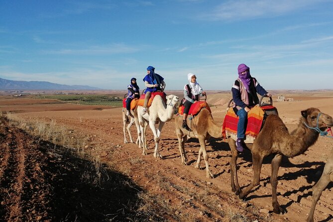 Agafay Desert Package: Quad, Camel Rides & Dinner Show or Lunch - Music, dancing, and fire close the evening
