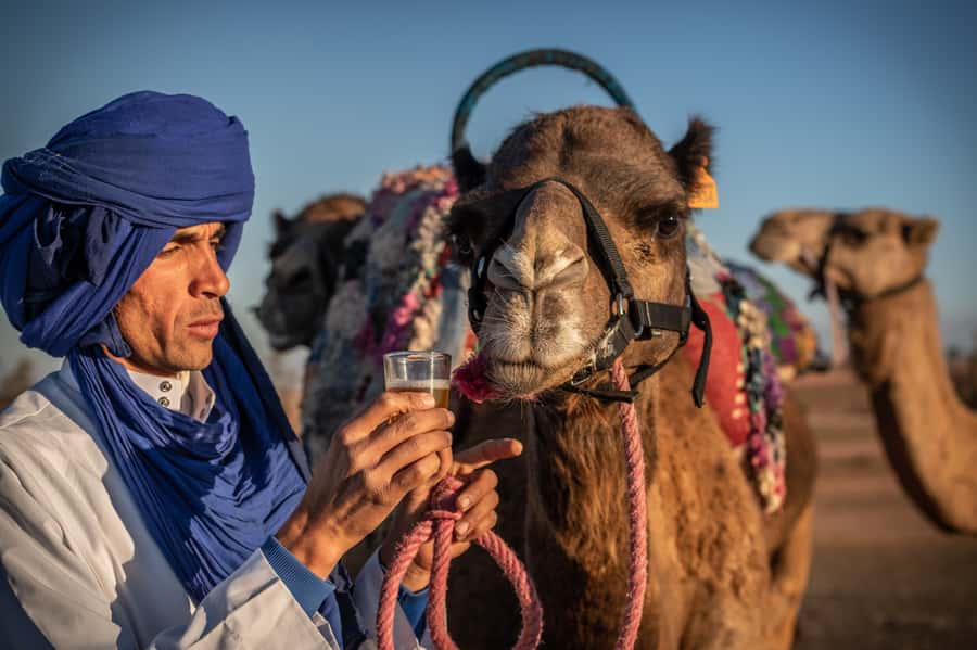 Agafay Desert: Quad Bike and Camel Ride Adventure Tour - Tea, lunch, and a closer look at village life